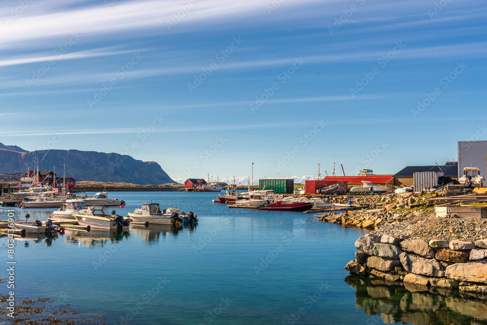 Fototapeta premium landscape inside the Lofoten Islands, Norway