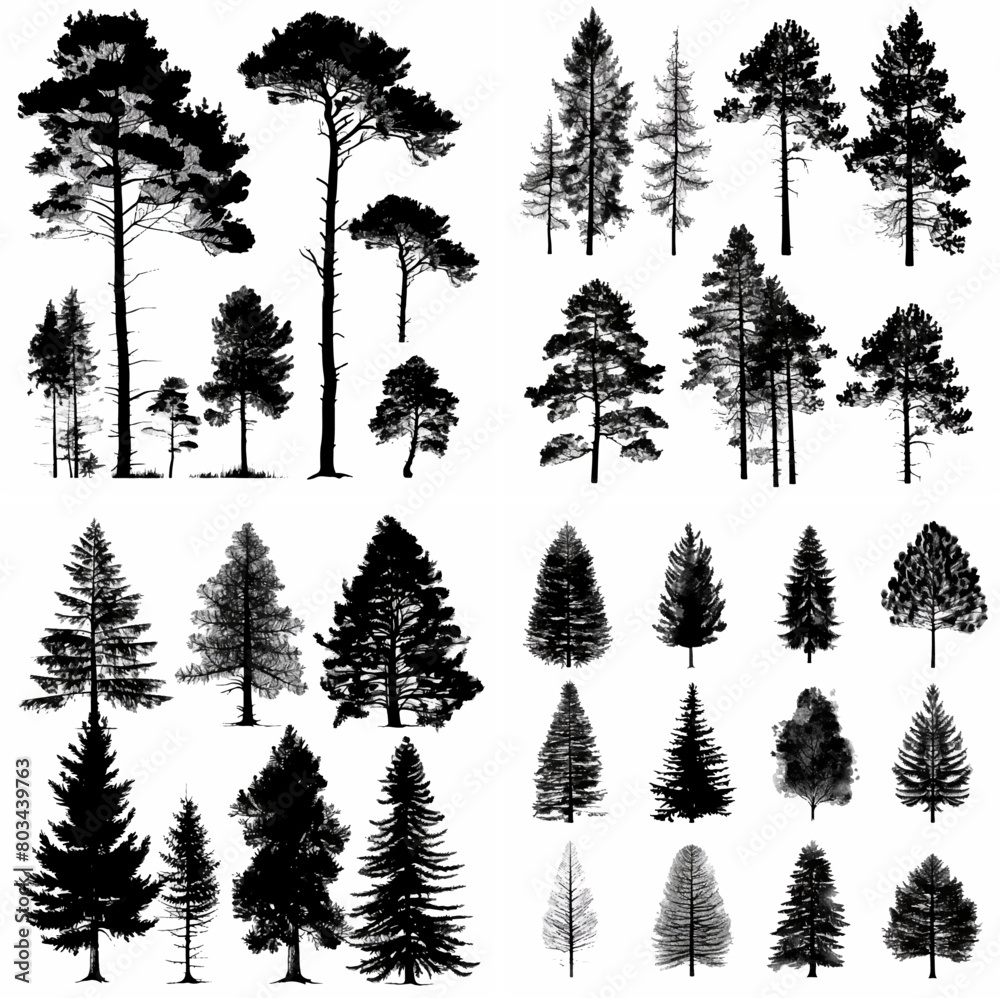 Fototapeta premium black tree silhouette set pure badge eco outline recreation breath emblem label protection graphic pine trunk woodland