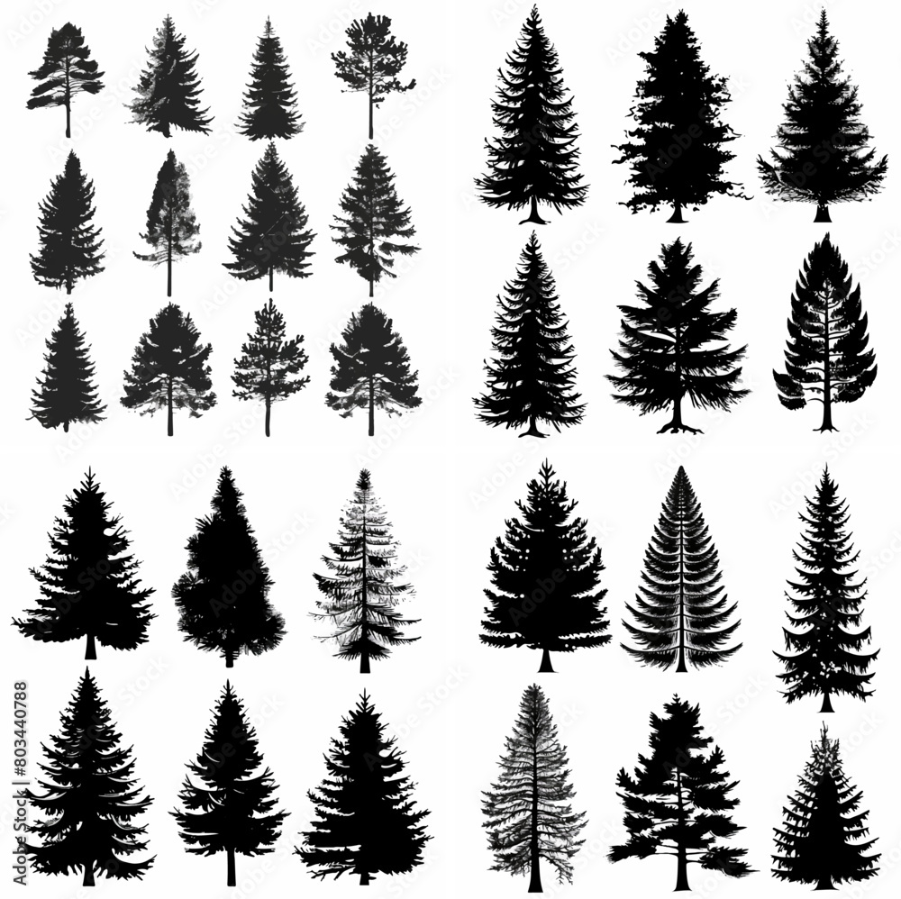 black tree silhouette set pure badge eco outline recreation breath emblem label protection graphic pine trunk woodland black tree silhouette set pure badge eco outline recreation breath emblem label protection graphic pine trunk woodland