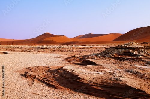 Dead valley in Namibia