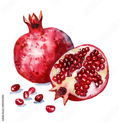 pomegranate watercolor digital painting good quality