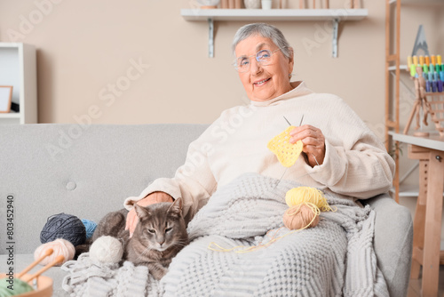 Senior woman with cat knitt...