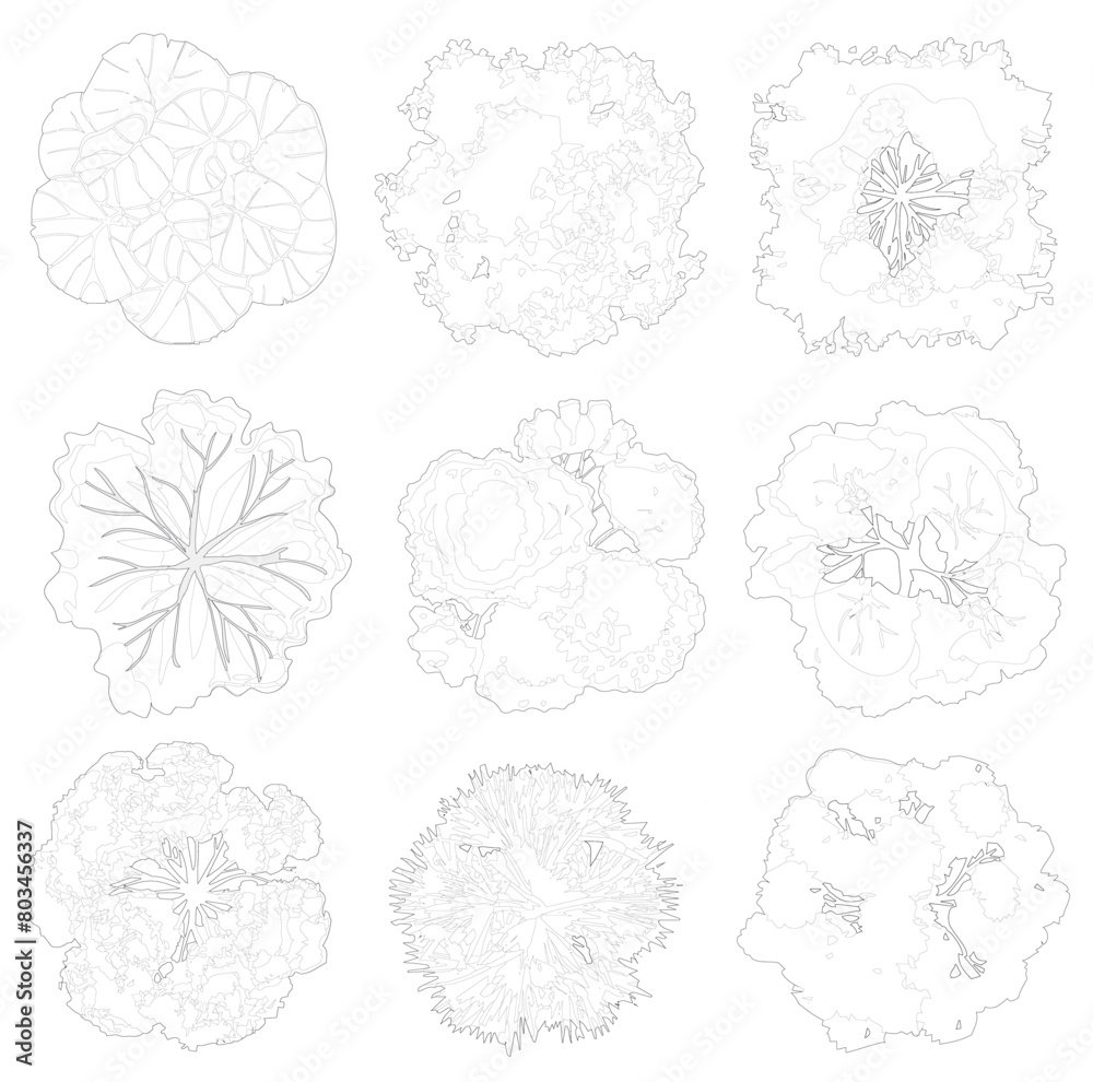 top view trees, cad outlined set of trees