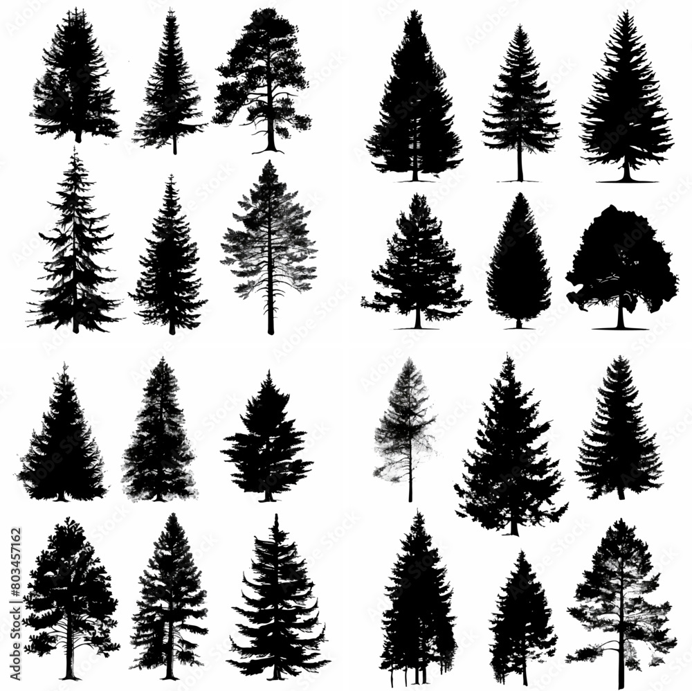 black tree silhouette set pure badge eco outline recreation breath emblem label protection graphic pine trunk woodland black tree silhouette set pure badge eco outline recreation breath emblem label protection graphic pine trunk woodland