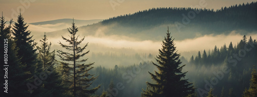 Vintage retro-style artwork portraying a serene misty scene within a fir forest landscape.