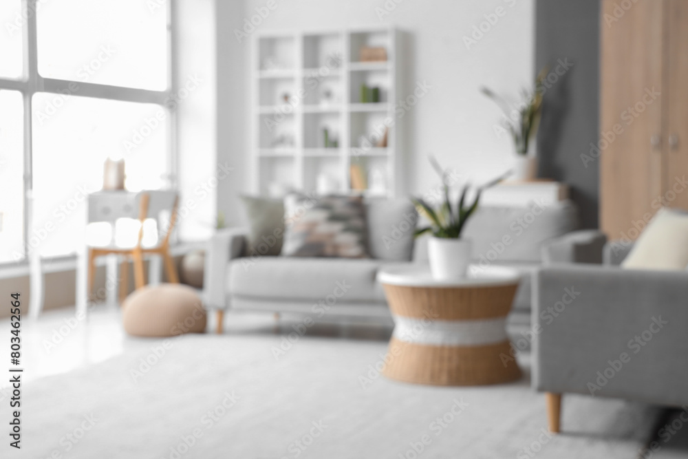 Naklejka premium View of blurred living room with grey sofas, plants and table