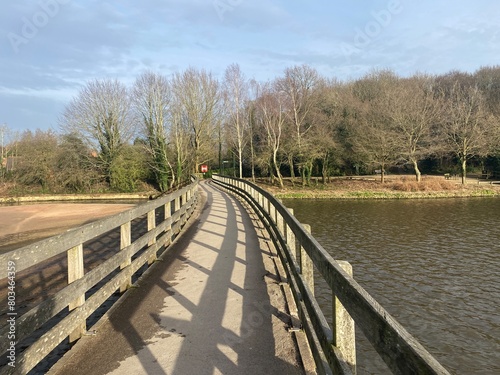 wooden bridge in the park