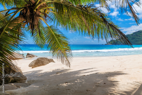 Tropical white sand beach with coconut palm trees and turquoise sea. Summer vacation and tropical beach concept.	