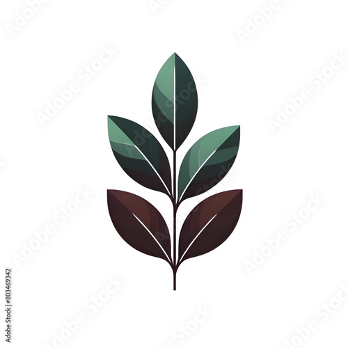 minimalist design of a plant leaf  divided into upper green and lower burgundy sections on a white background