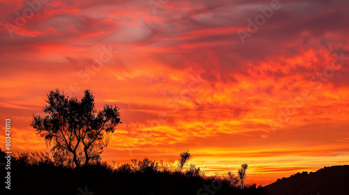 A fiery sunset over a chaparral landscape, with silhouetted shrubs against a vibrant orange and red sky, captured with a gradient filter to enhance the colors