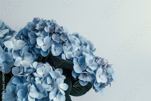 A bouquet of blue flowers with green leaves