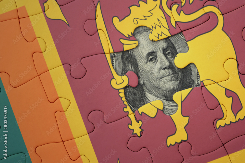 puzzle with the national flag of sri lanka and usa dollar banknote. finance concept puzzle with the national flag of sri lanka and usa dollar banknote. finance concept