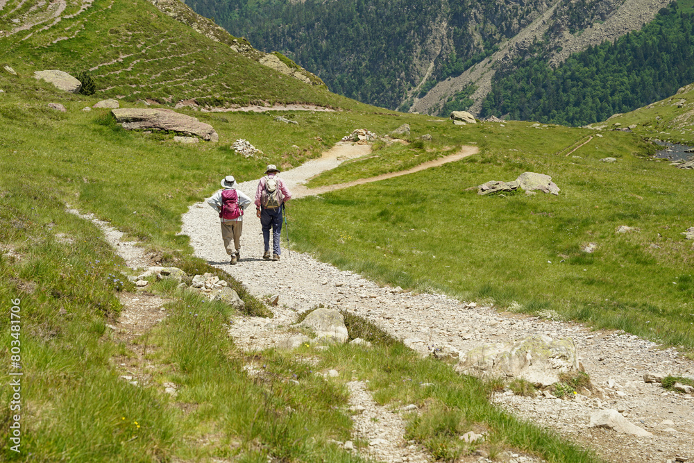 Old pensioner couple hiking in beautiful mountains in Pyrenees (Lacs d' Ayous), popular hiking route, France