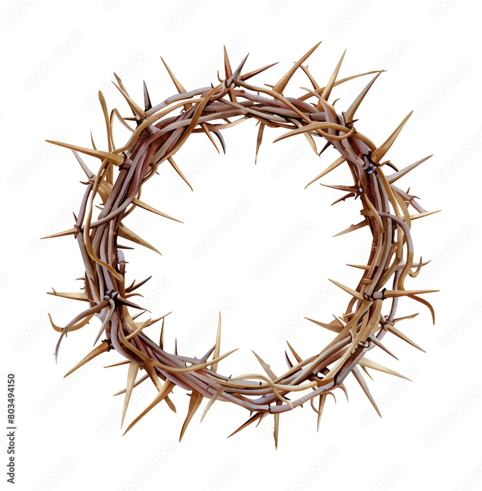 Fototapeta premium crown thorns watercolor digital painting good quality