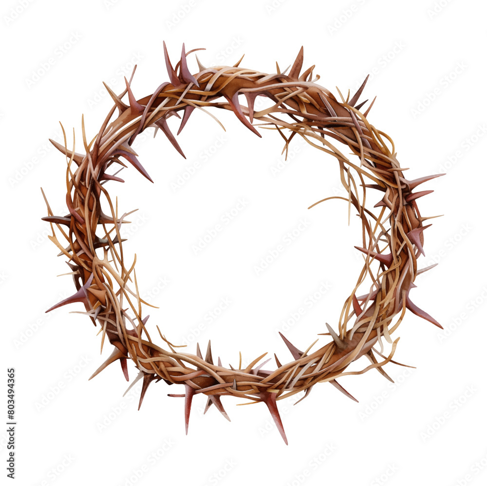Fototapeta premium crown thorns watercolor digital painting good quality