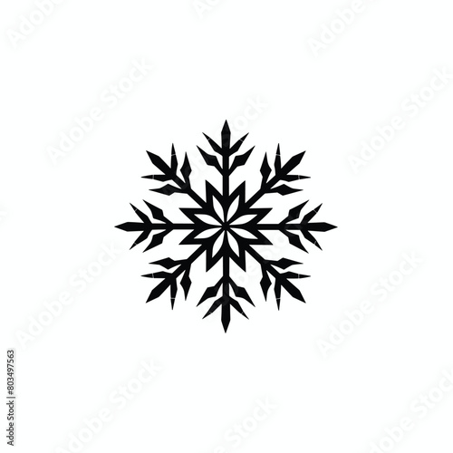 Intricate black snowflake design on a white background.