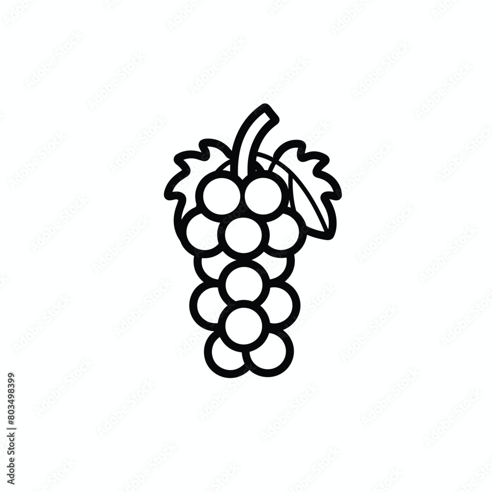 Black and white outline drawing of a grape cluster with leaves. Black and white outline drawing of a grape cluster with leaves.