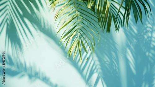 Blurred shadow from palm leaves on the light blue wall. Generative Ai © Witri