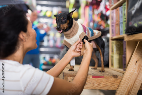 Oriental woman dressing her dog with cozy sweater in pet shop.