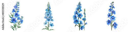 Collection of Delphinium isolated on transparent png background. Generative ai