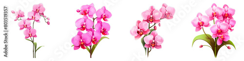 Collection of Orchid isolated on transparent png background. Generative ai