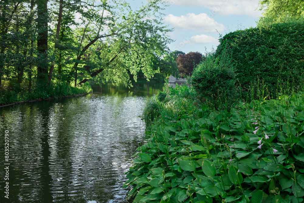 Serene river flowing through a lush green park with trees and bushes on the banks Serene river flowing through a lush green park with trees and bushes on the banks