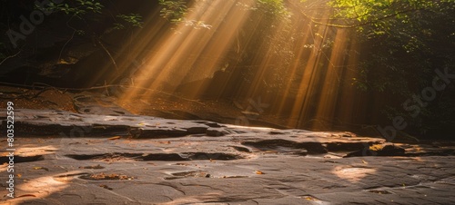 Dramatic Sunlight Through Forest Canopy Over Rugged Slate Surface at Dawn
