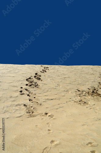 footprints in the sand dunes/jockey's ridge state park