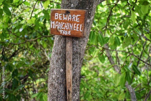 Fotografie Beware of Manchineel Tree Sign on a Manchineel Tree Bark in the Petit Carenage Sanctuary, Carriacou, Grenada