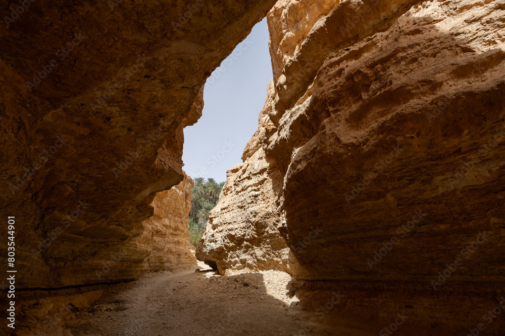 Canyon near the Mides Oasis in Tamgahza, near Tozeur in Tunisia
