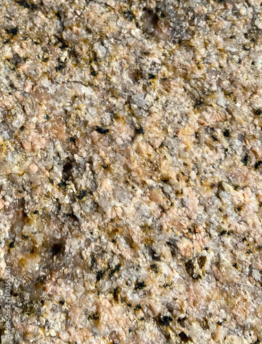 Stone texture. Sea stone. Mexico.