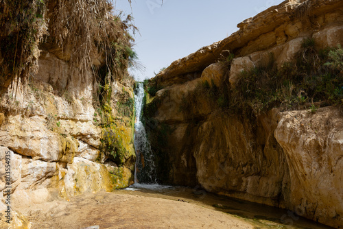 There is waterfall surrounded by poor vegetation among light stone rocks in oasis. Tamerza Oasis in Tunisia on border with Algeria. Hot sunny day in oasis near desert photo