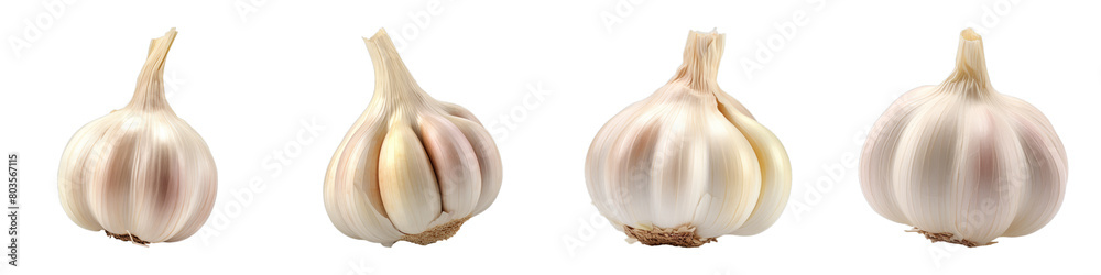 Obraz premium Collection of Garlic isolated on transparent png background. Generative ai