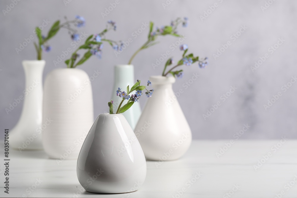 Fototapeta premium Beautiful forget-me-not flowers in vases on white table, closeup