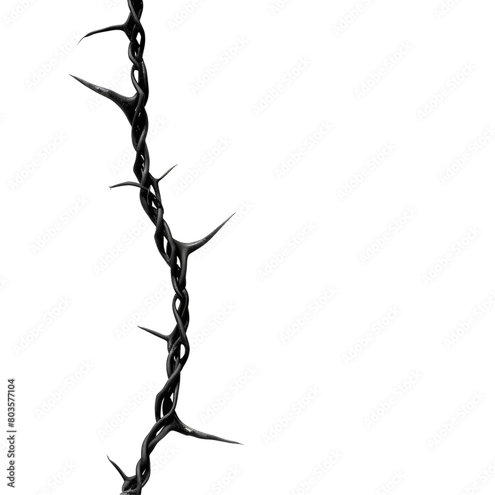Fototapeta premium A black wire with sharp spikes is shown in a white background