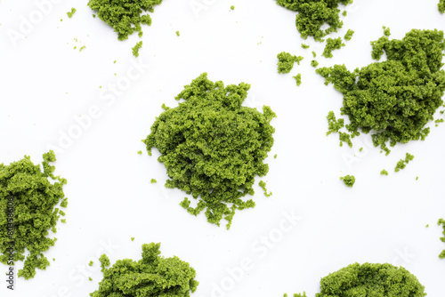 Wolffia globosa or swamp algae  water meal