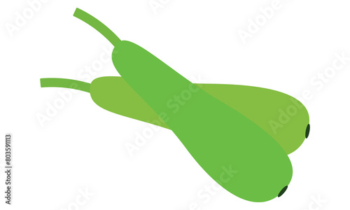 Bottle Gourd Vector Design And Illustration.