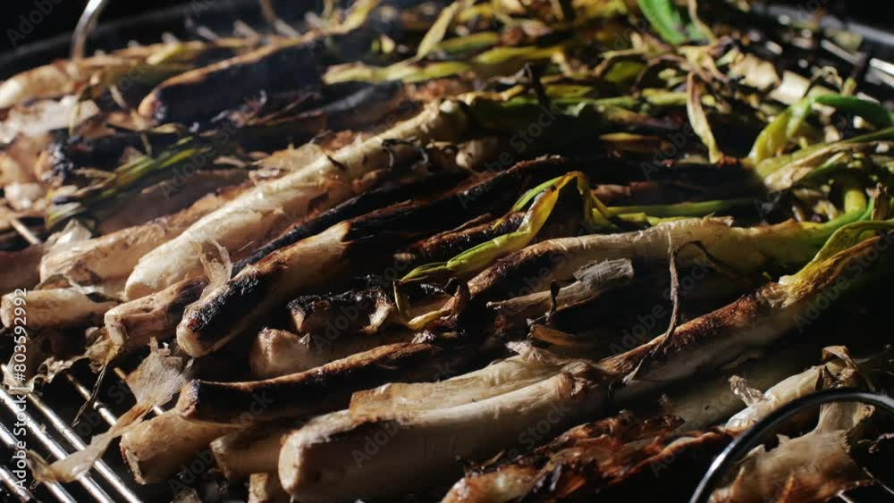 Traditional Spanish catalan green winter onion calcots, spring green season grill barbecue, vegan bbq with fire in Barcelona, Catalonia. Close up of grilling green onion.