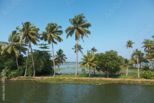 Kerala backwaters