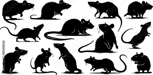 Rats ou souris, rongeurs silhouette noir sur fond blanc