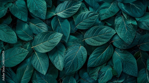 Tropical leaf background