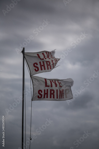 Live shrimp flags