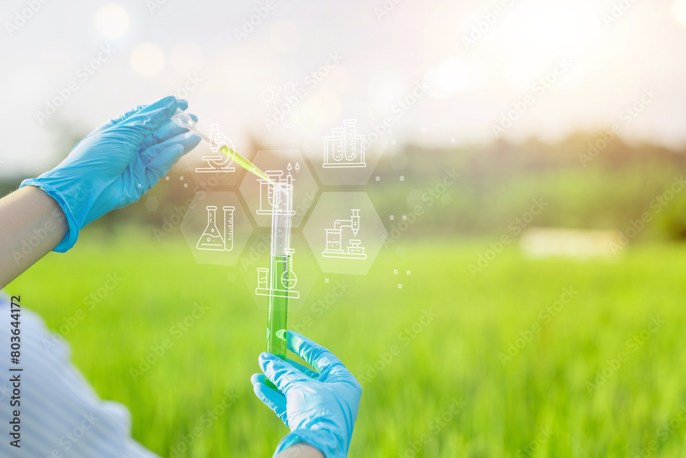 Rice researchers hold test tubes with chemical solutions to conduct ...