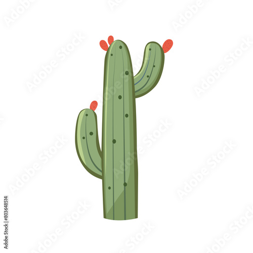 Cute cactus plant vector illustration, cacti clip art, cactuses tree image isolated on white background, member of plant family cactaceae