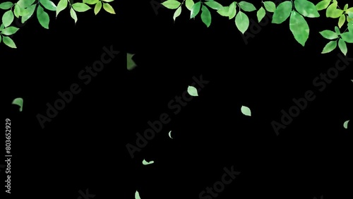 green forest swaying in the wind. Leaves fall. Animation with transparent background.（100）
