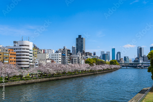 春の大阪市 大川