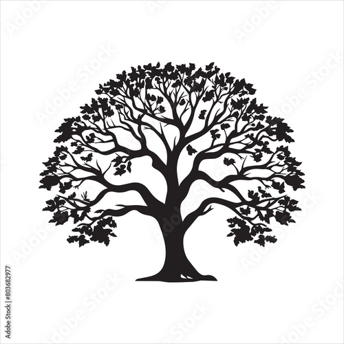 Tree and forest silhouettes silhouette tree line drawing set coconut tree silhouette illustrations