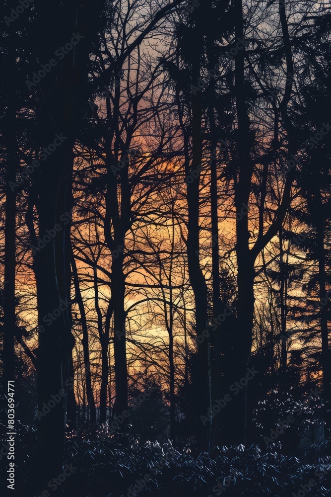 Wander through the enchanting silhouette of a forest at sunset, where the trees stand tall and dark against the fiery sky, Generative AI Wander through the enchanting silhouette of a forest at sunset, where the trees stand tall and dark against the fiery sky, Generative AI