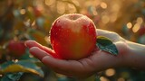 A Peaceful Harvest: Embracing the Earth's Abundance