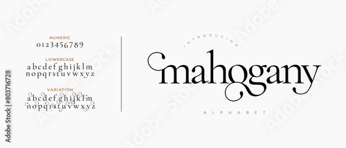 Mahogany elegant font alphabet uppercase lowercase and number. Classic lettering minimal fashion designs. Typography modern serif fonts regular decorative vintage concept. Vector illustration